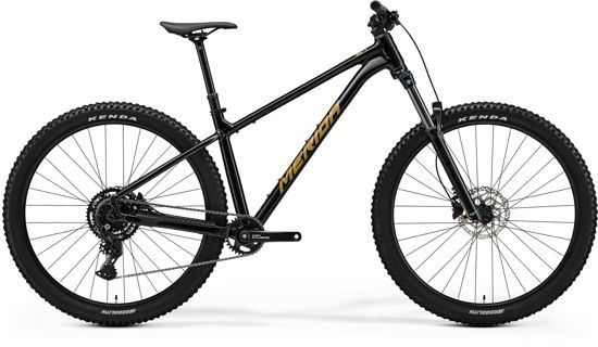 Obrazek Merida Big.Trail 300